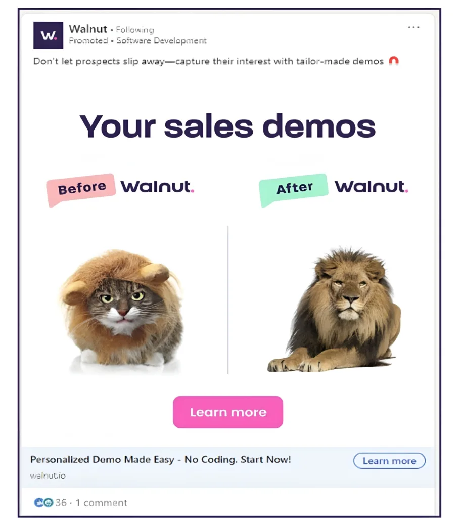 Cat & Lion Classic Walnut LinkedIn Ad
